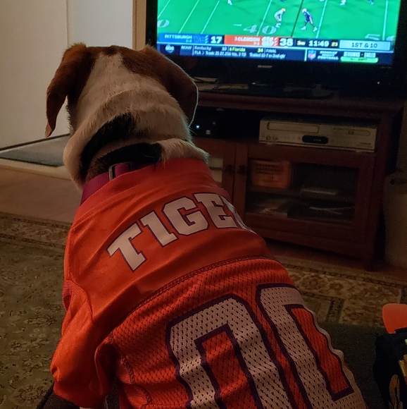 tommcgregor6t